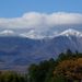 20061112_ojiragawatrip_0361
